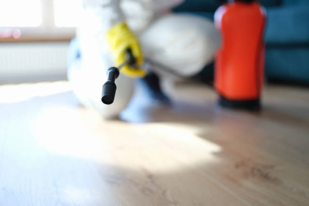 Best Forensic Mold Investigation  in Anaheim, CA