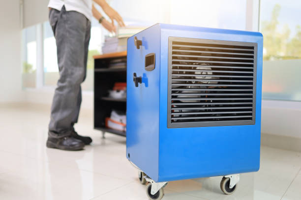 Best Basement Mold Removal  in Anaheim, CA