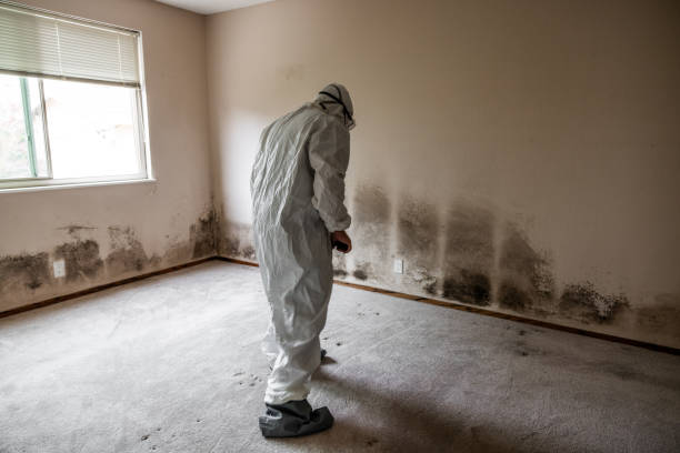 Best Mold Odor Removal Services  in Anaheim, CA